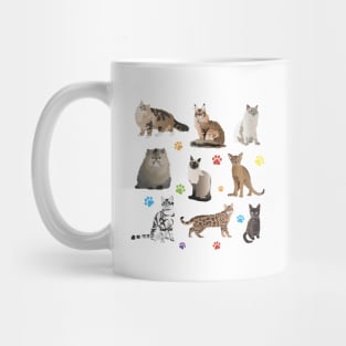 Various Beautiful Cats Mug